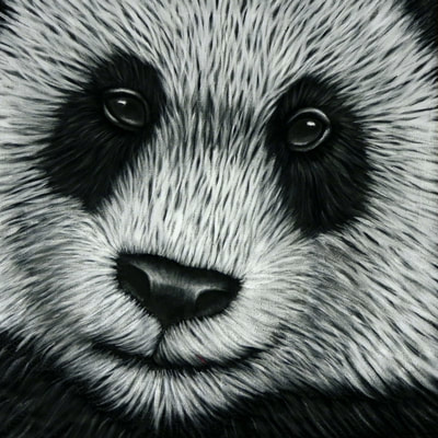 Panda, Black, White, Eyes, Quilt, Quilting, Art, Artwork, Fiber Art, Acrylic Painting