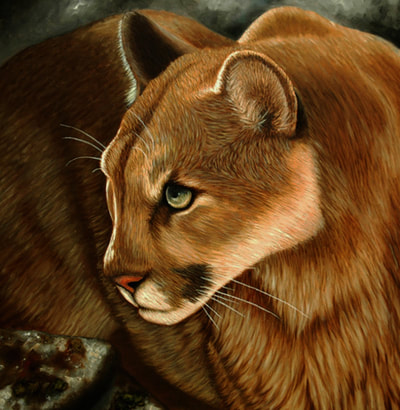Mountain Lion, Cougar, Puma, Oil Painting, Art, Artwork, 