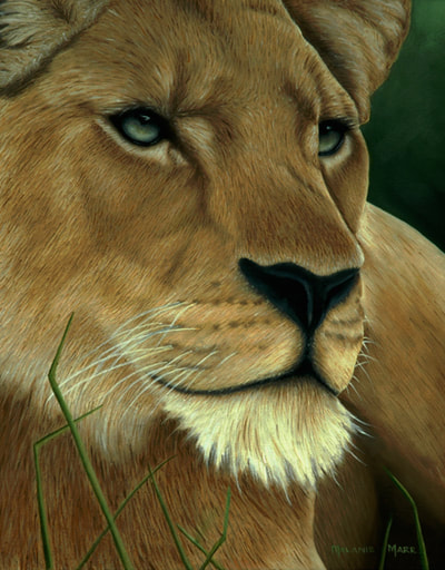 Lion, Lioness, Big Cats, African Animal, Oil Painting, Art, Artwork