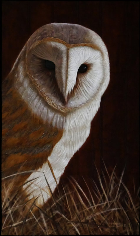 Barn owl, Owl, bird, birds, nature, animals, art, quilt, art quilt, bird art