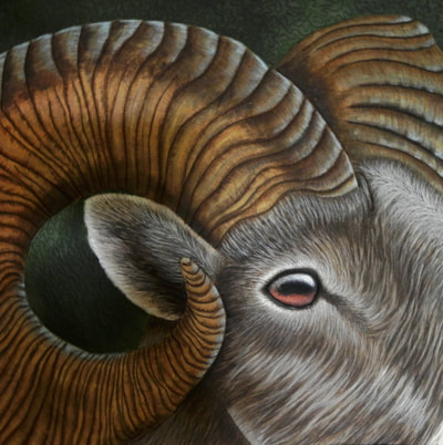 Bighorn Sheep, Horns, Quilt, Quilting, Art, Artwork, Fiber Art, Acrylic Painting