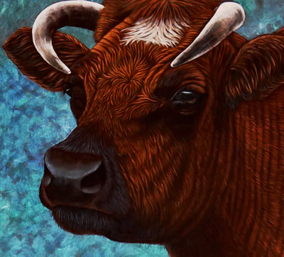 Brown Bull, Texas, Ranch, Cow, Cattle, Quilt, Quilting, Art, Fiber Art, Acrylic Painting, Animal, Farm, Horns, 