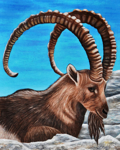 Ibex, Horns, Hoofed Animal, Quilt, Quilting, Art, Fiber Art, Acrylic Painting