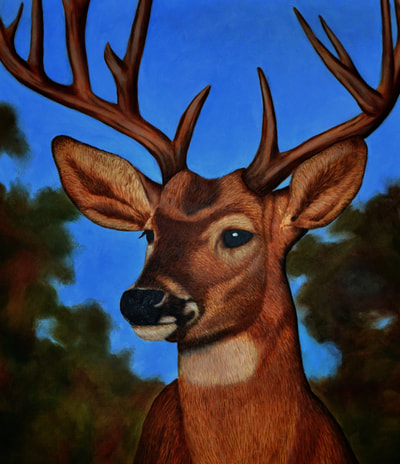 White tailed Deer, Buck, Stag, Antlers, Acrylic Painting, Art, Artwork